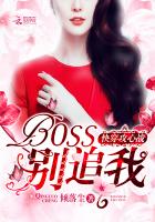 快穿攻心战：BOSS，别追我